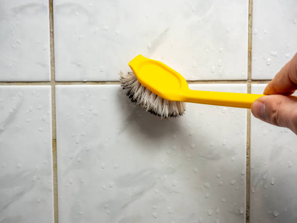 Best DIY Mold Remediation Support Services in Rancho Palos Verdes, CA