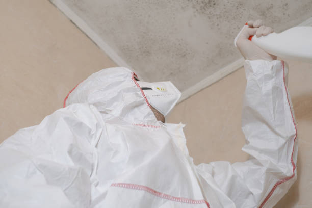 Best Industrial Mold Remediation in Rancho Palos Verdes, CA